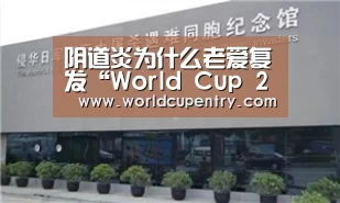 世界杯中文网