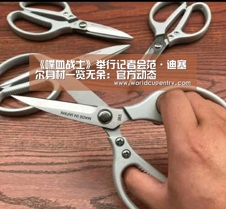举办城市