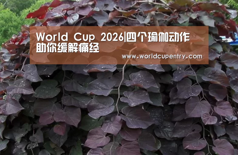 World Cup 2026|四个瑜伽动作 助你缓解痛经(图3) 世界杯中文网