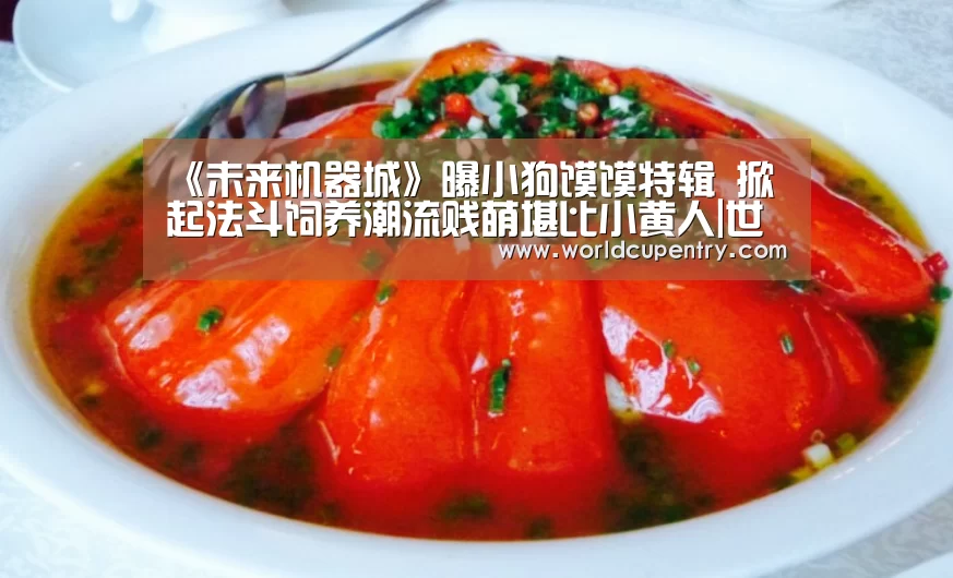 《未来机器城》曝小狗馍馍特辑 掀起法斗饲养潮流贱萌堪比小黄人|世界杯中文网(图3) 官方动态